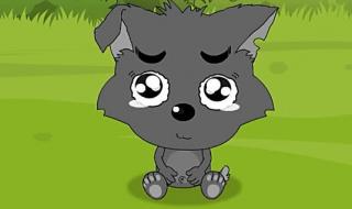 小灰灰为什么要到羊村学校读书 喜羊羊小灰灰上学记