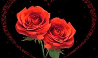 520到底是什么意思 520代表什么