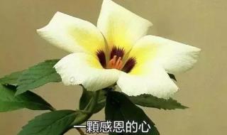 快乐向前冲报名完多久发短信 男生女生向前冲短信