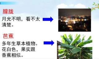 《丁香结》课堂笔记